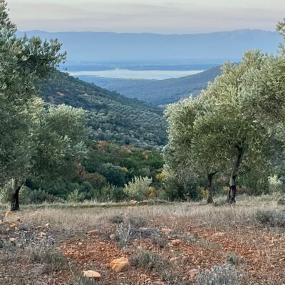 Vistas al pantano de Valdecañas